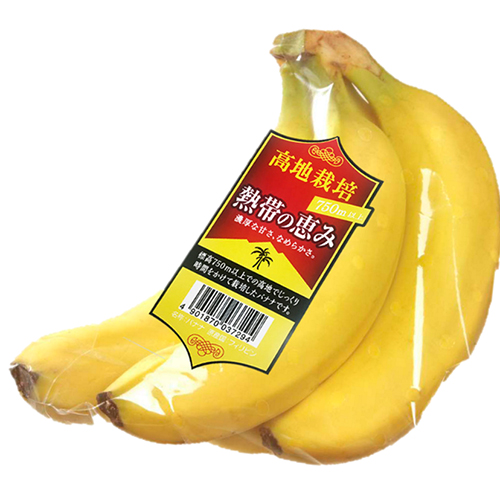 熱帯の恵み　バナナ