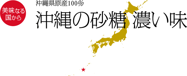 美味なる国から　沖縄県原産100％　沖縄の砂糖 濃い味