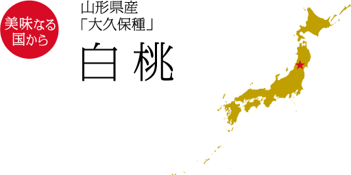 美味なる国から　山形県産「大久保種」 白桃