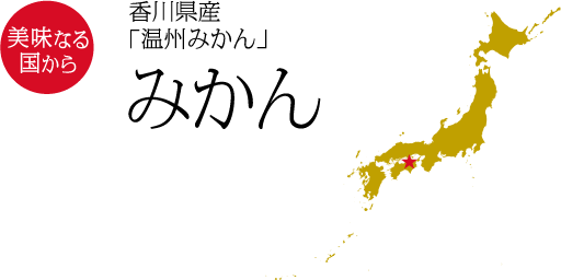 美味なる国から　香川県産「温州みかん」みかん