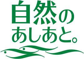 自然のあしあと。